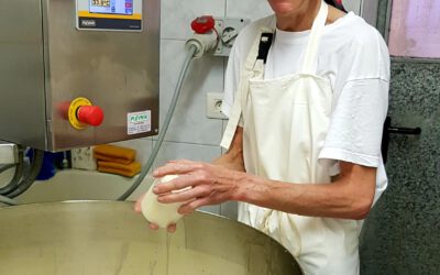 02.11. Ehrenamt in den Bergen – mein Einsatz bei der Bergbauernhilfe